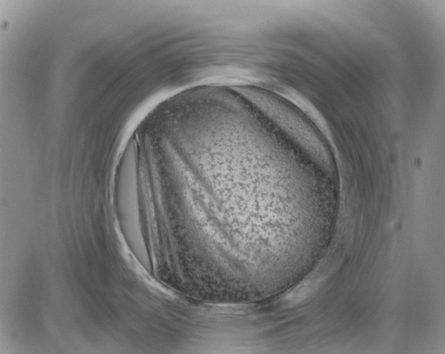 X0000080691488200612301437