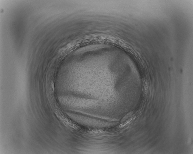 X0000080691489200612301436