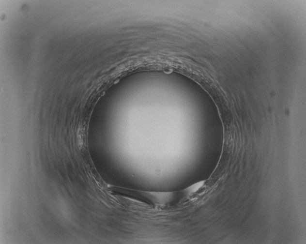 X0000080691490200612301436