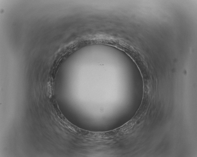 X0000080691493200612301436