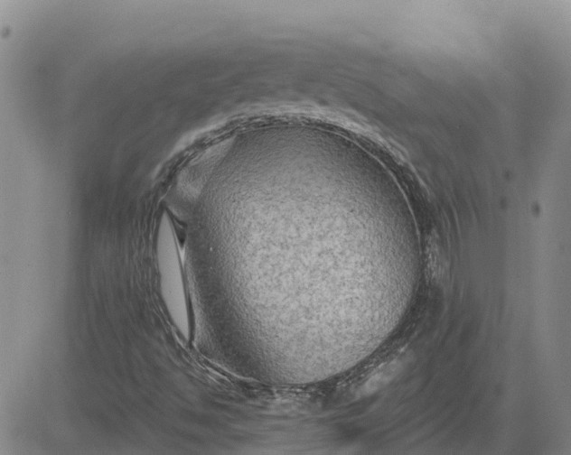 X0000080691494200612301436