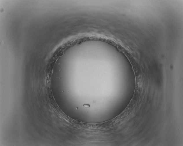 X0000080691495200612301436