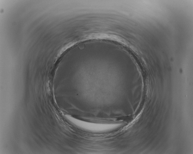 X0000080691497200612301436