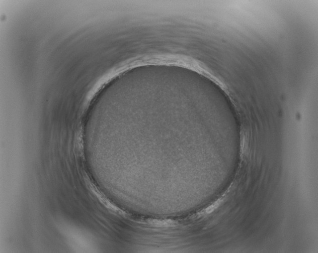 X0000080691498200612301436