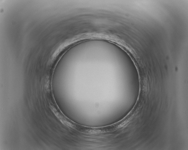 X0000080691499200612301436