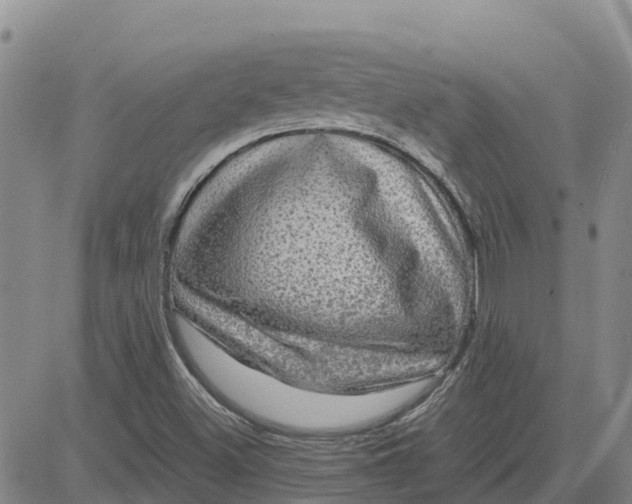 X0000080691500200612301436