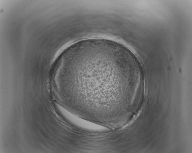 X0000080691501200612301436