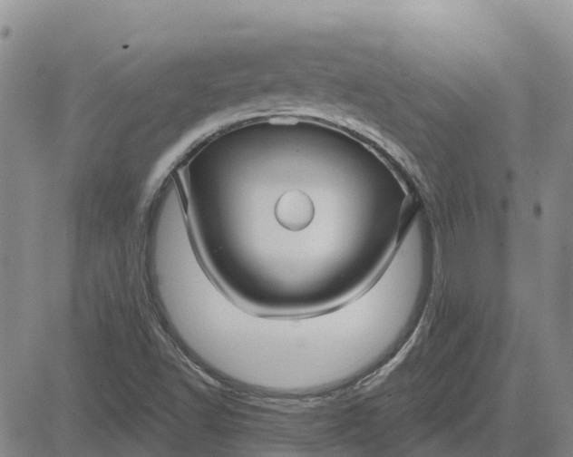 X0000080691502200612301436