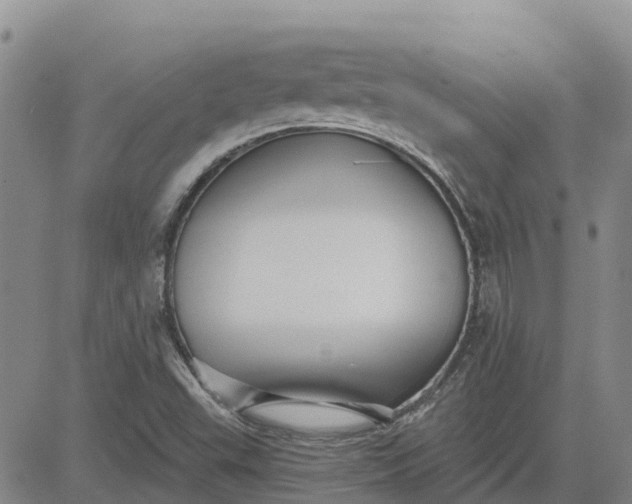 X0000080691503200612301436