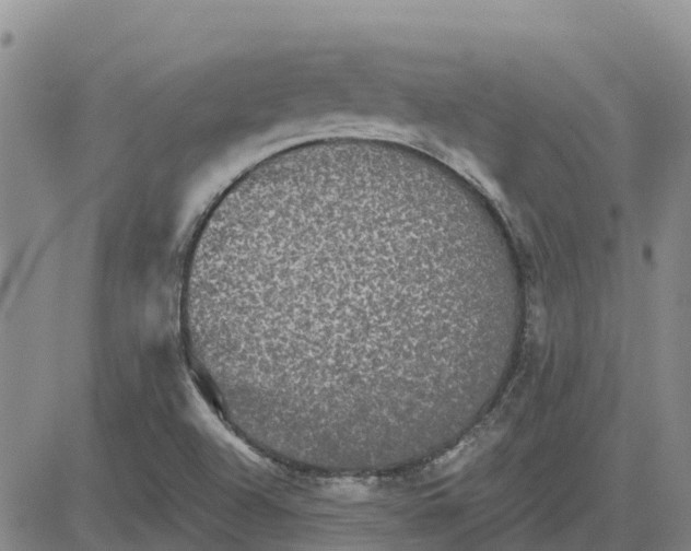 X0000080691504200612301436