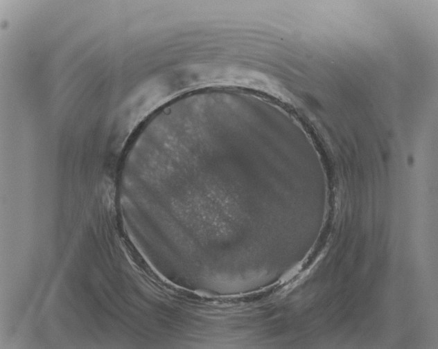 X0000080691505200612301436