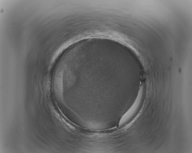 X0000080691506200612301436