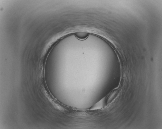 X0000080691507200612301436