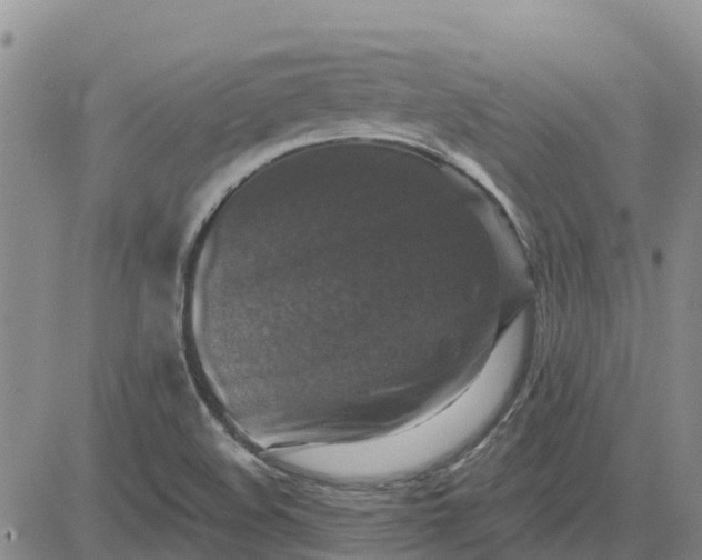 X0000080691508200612301436