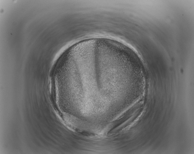 X0000080691509200612301436