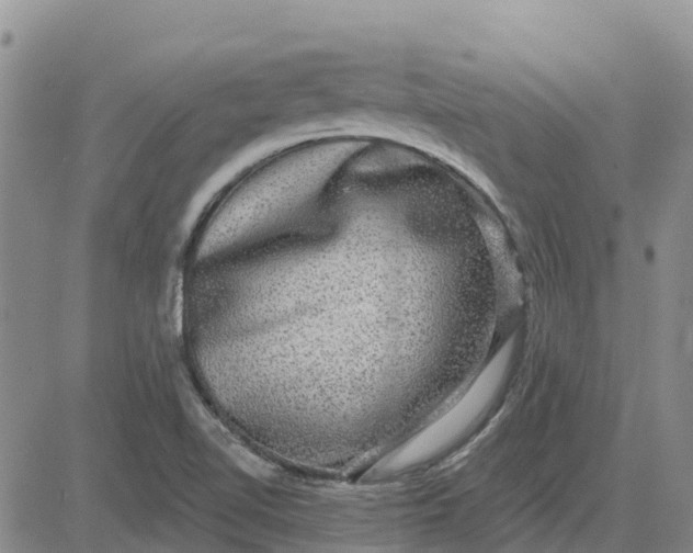 X0000080691510200612301436