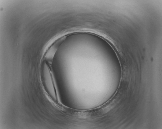 X0000080691511200612301436