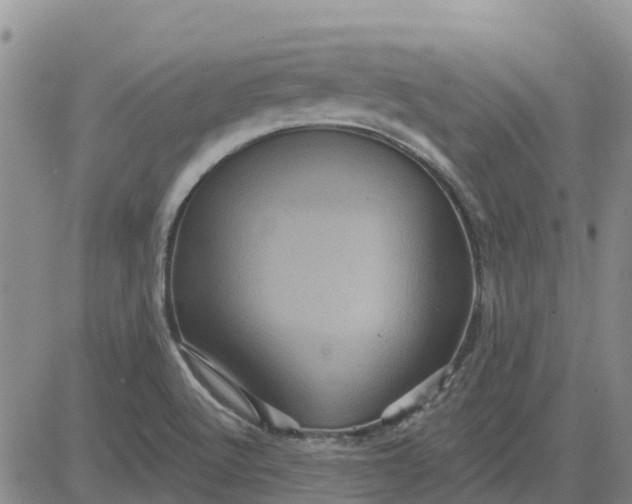 X0000080691512200612301437