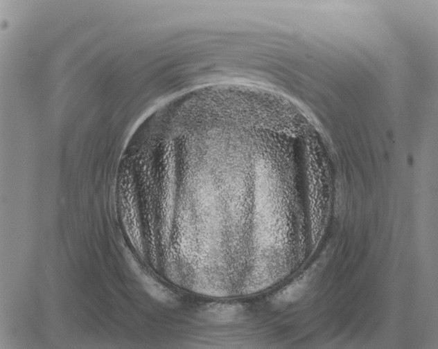 X0000080691513200612301437