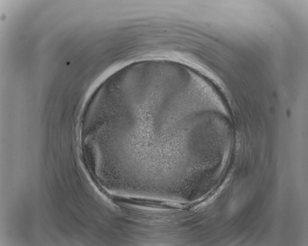 X0000080691517200612301437