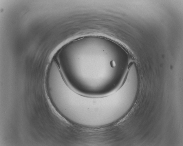 X0000080691518200612301437