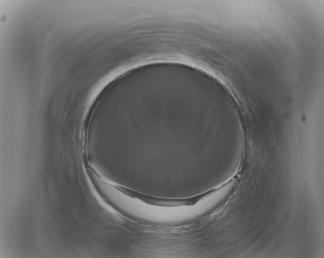 X0000080691519200612301437