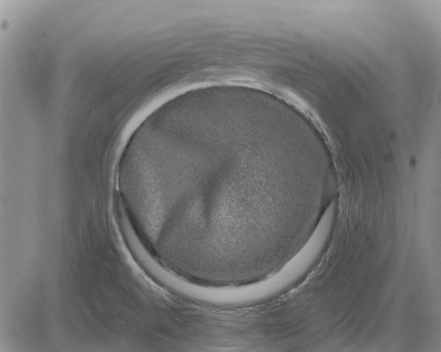 X0000080691520200612301437