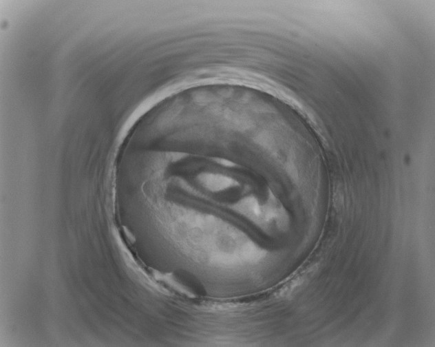 X0000080691522200612301437