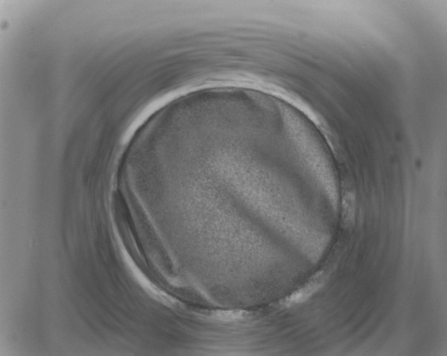 X0000080691523200612301437