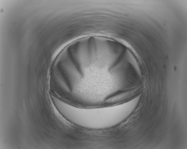 X0000080691524200612301437