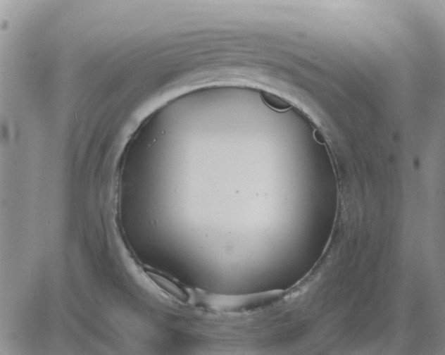 X0000080691526200612301437