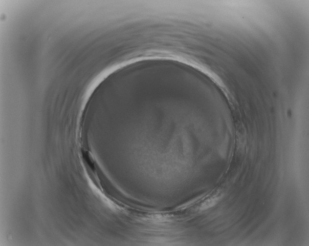 X0000080691527200612301437