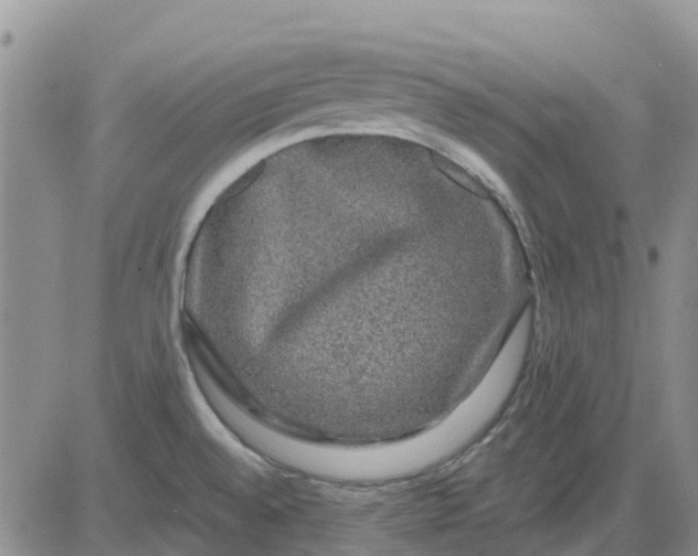 X0000080691528200612301437