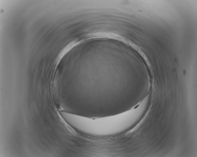 X0000080691529200612301437