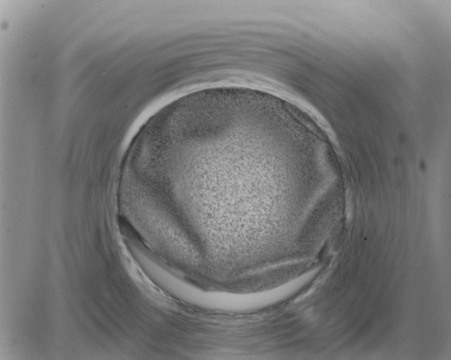 X0000080691530200612301437