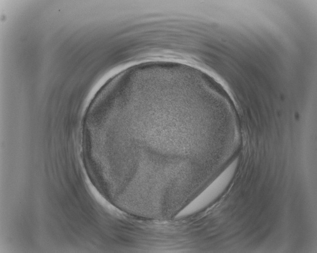 X0000080691531200612301437