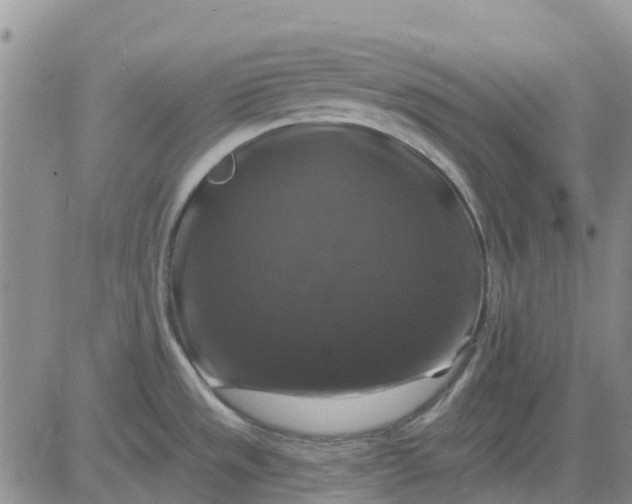 X0000080691533200612301437