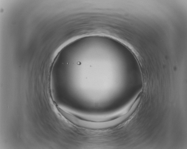 X0000080691534200612301437