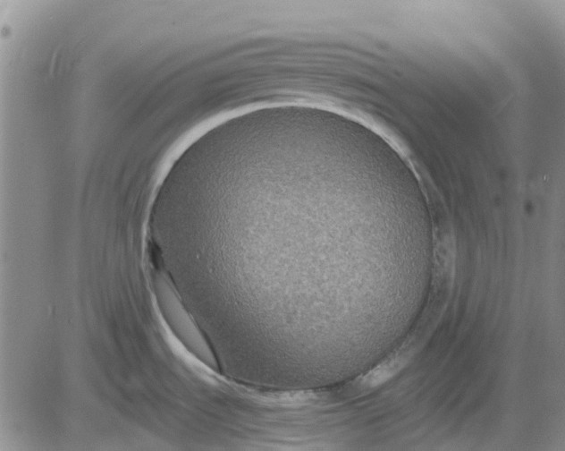 X0000080691535200612301437