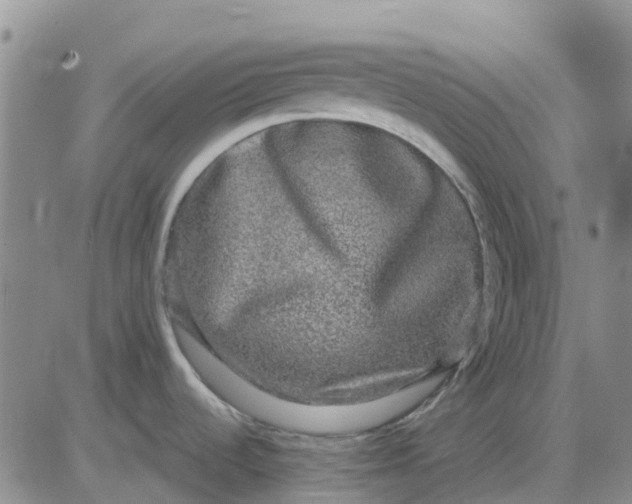 X0000080691536200612301437