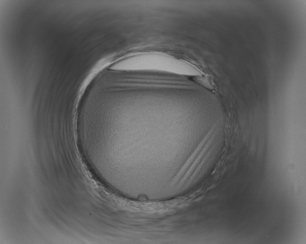 X0000080690006200701051112