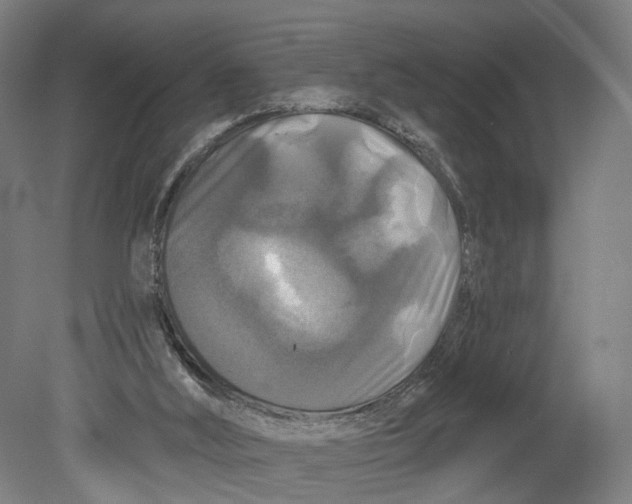 X0000080690012200701051112