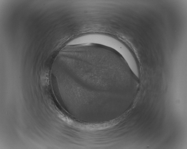 X0000080690017200701051112