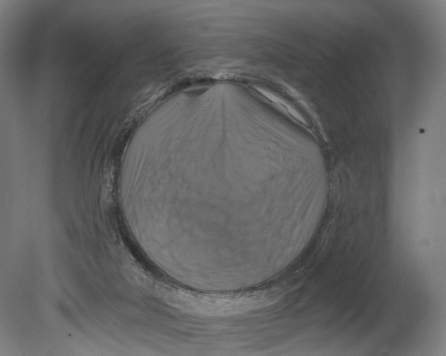 X0000080690018200701051112