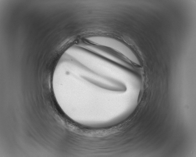 X0000080690021200701051112