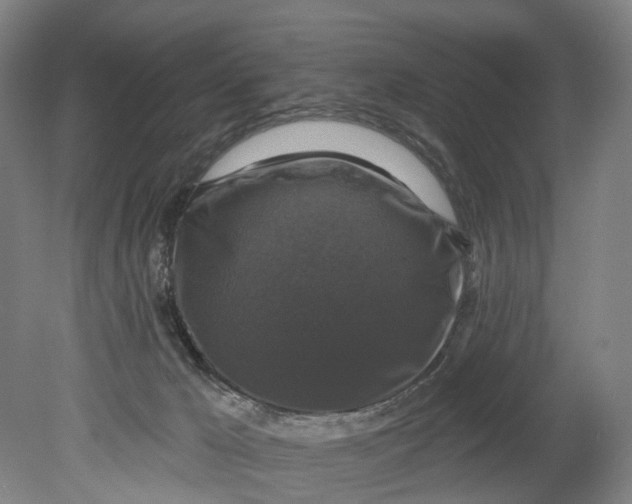 X0000080690029200701051112