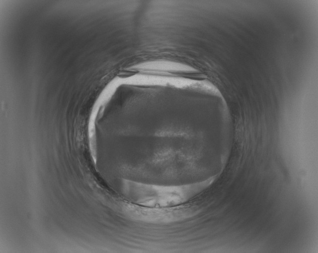X0000080690030200701051112
