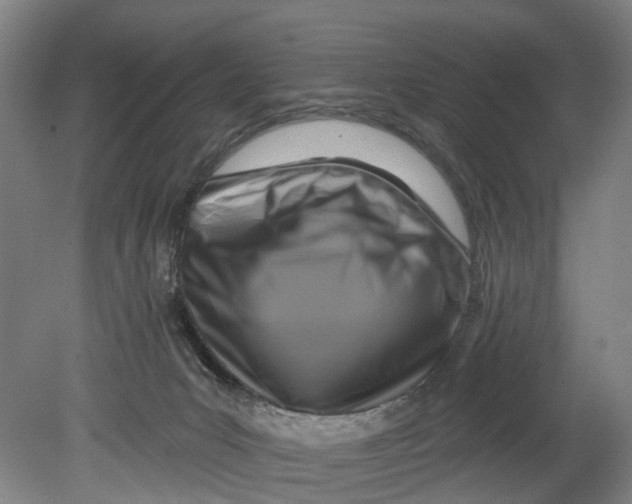 X0000080690031200701051112