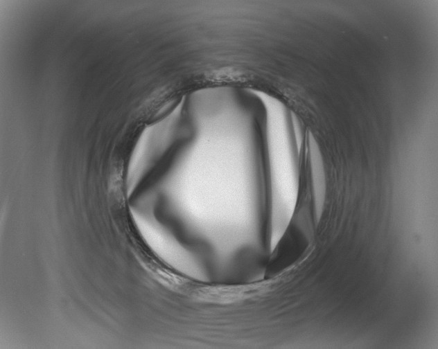 X0000080690033200701051112