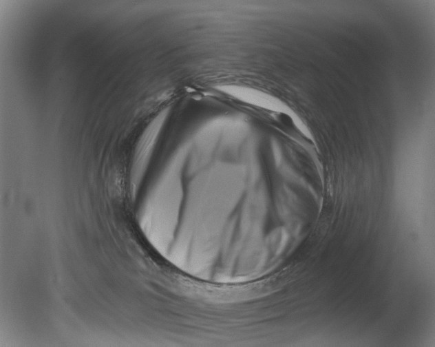 X0000080690039200701051111